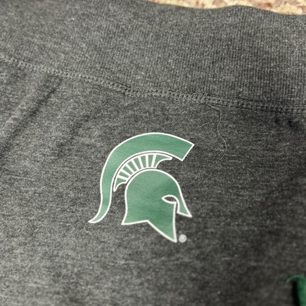 Michigan‎ State - Picture 2 of 7